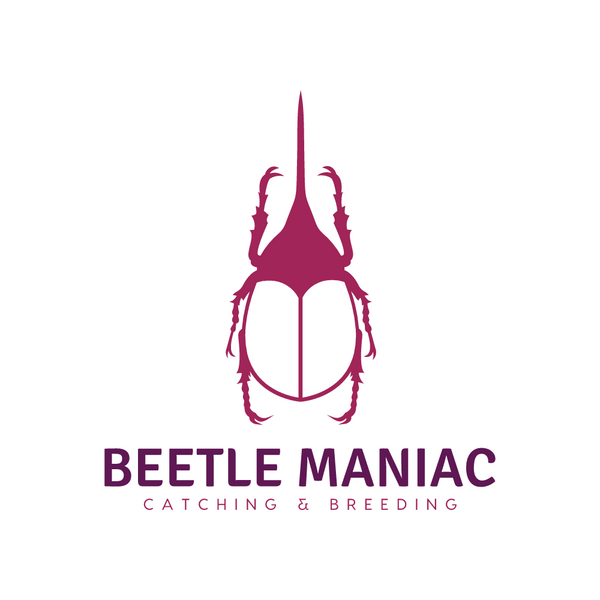 Beetle Maniac
